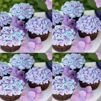 cup cake CK1009