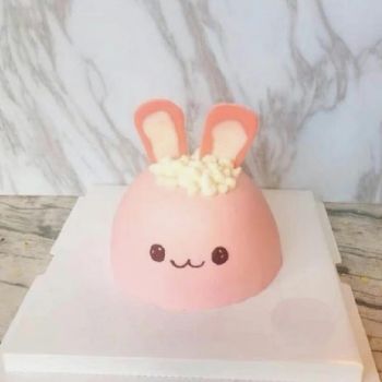 kid cake K2018