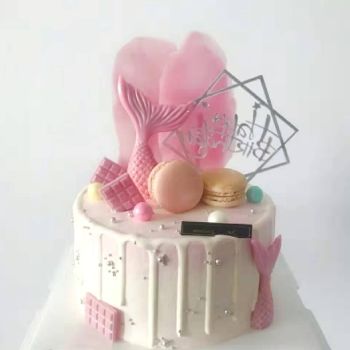 kid cake K5001