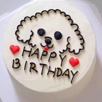 kid cake K5010